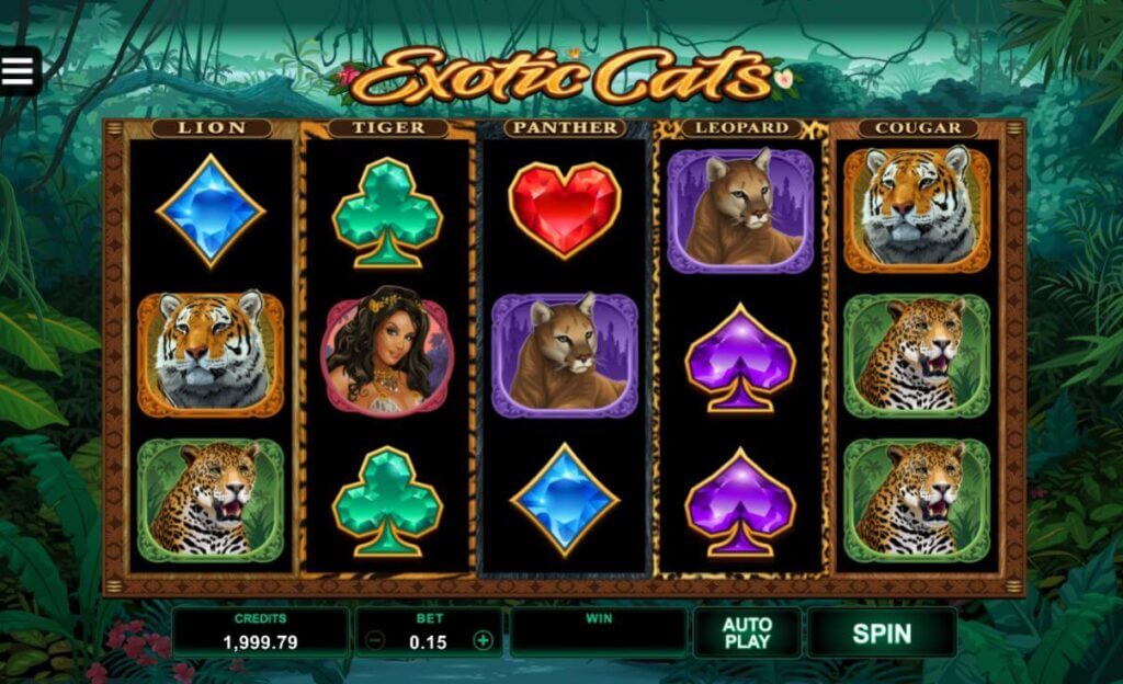 Video automat neboli hra Exotic Cats!