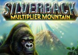 Silverback multiplier mountain hlavní strana
