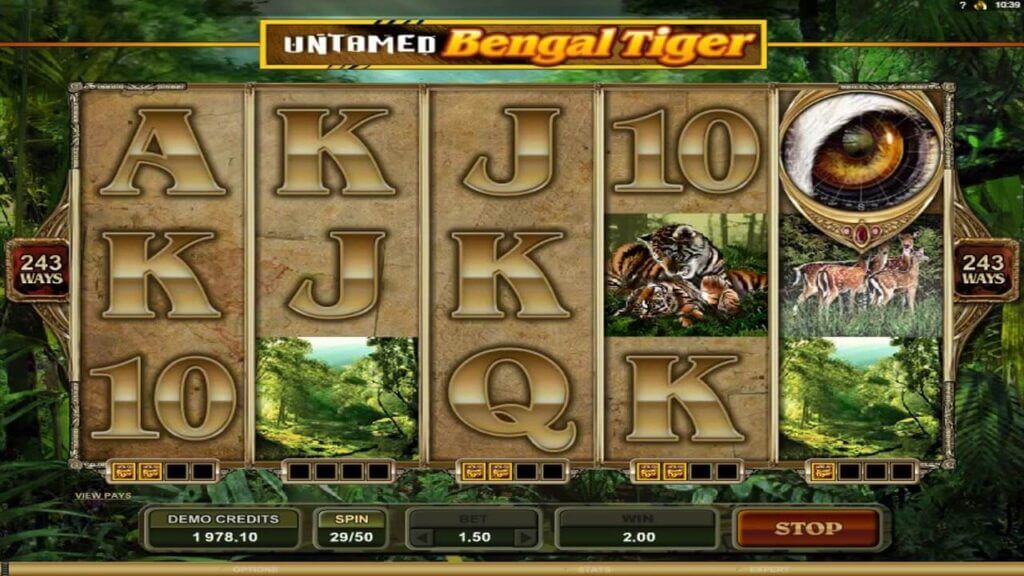 Video automat neboli hra Untamed Begal Tiger